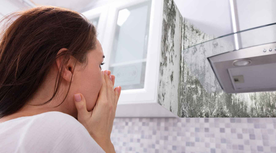 Infrared Sauna for Mold Detox: Does it Work?